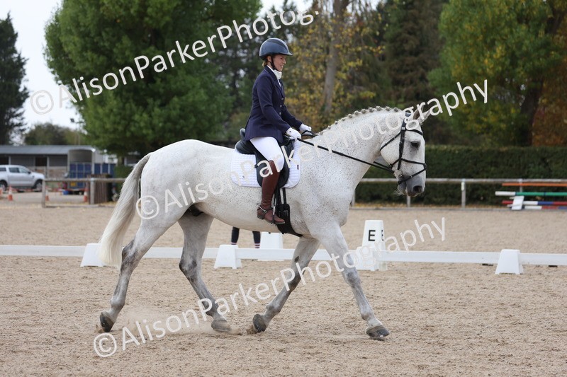 20250820-0307 - Class 11 - My Quest Novice 3