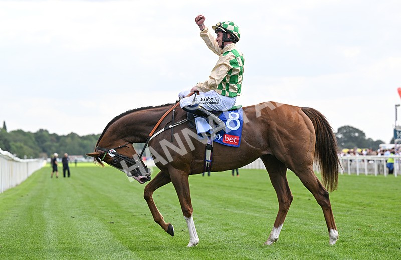 220826-155 Daiquiri Bay - Race 4 15.35pm Sky Bet Ebor Handicap