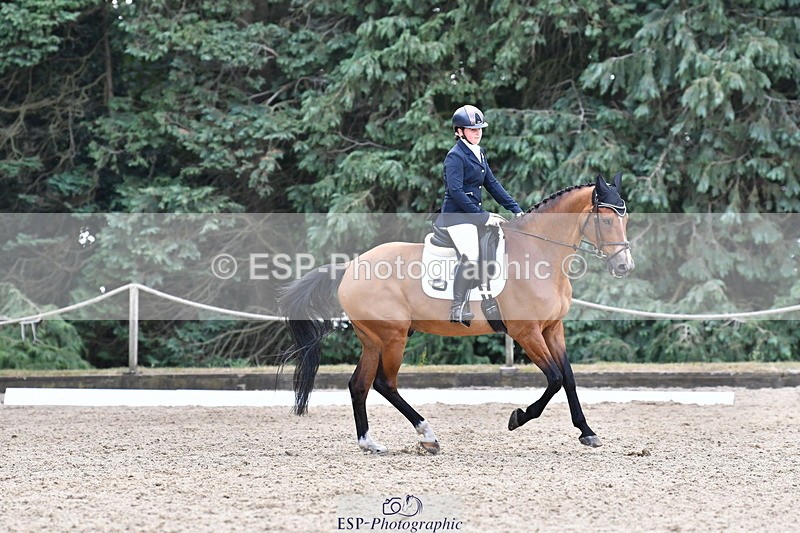 260801A-114713-03688 - Prelim Bronze Break - End