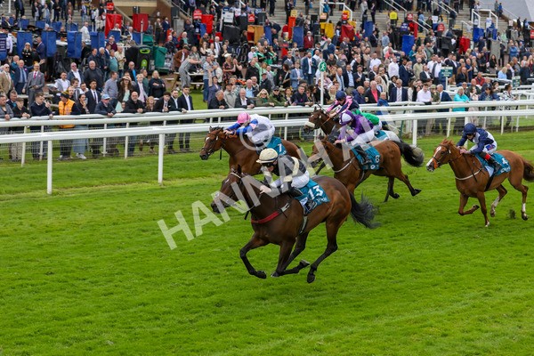 140624-Race 3-Alfa Kellenic-5608 - Race 3 3.00pm British EBF Supporting Racing With Pride Fillies' Handicap