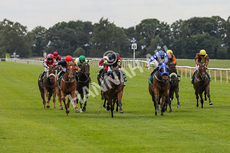 240624-Race 4-Golden Rainbow-0262 - Race 4