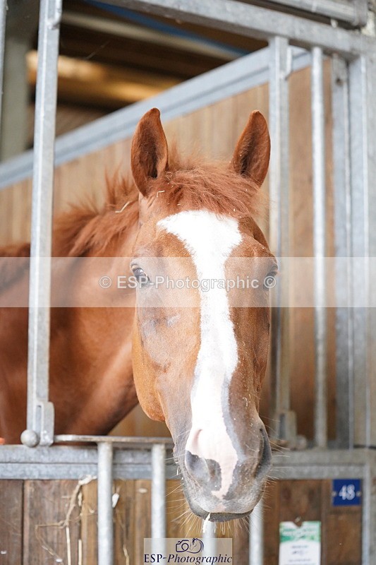 240809A-134608-01007 - Stable Shots