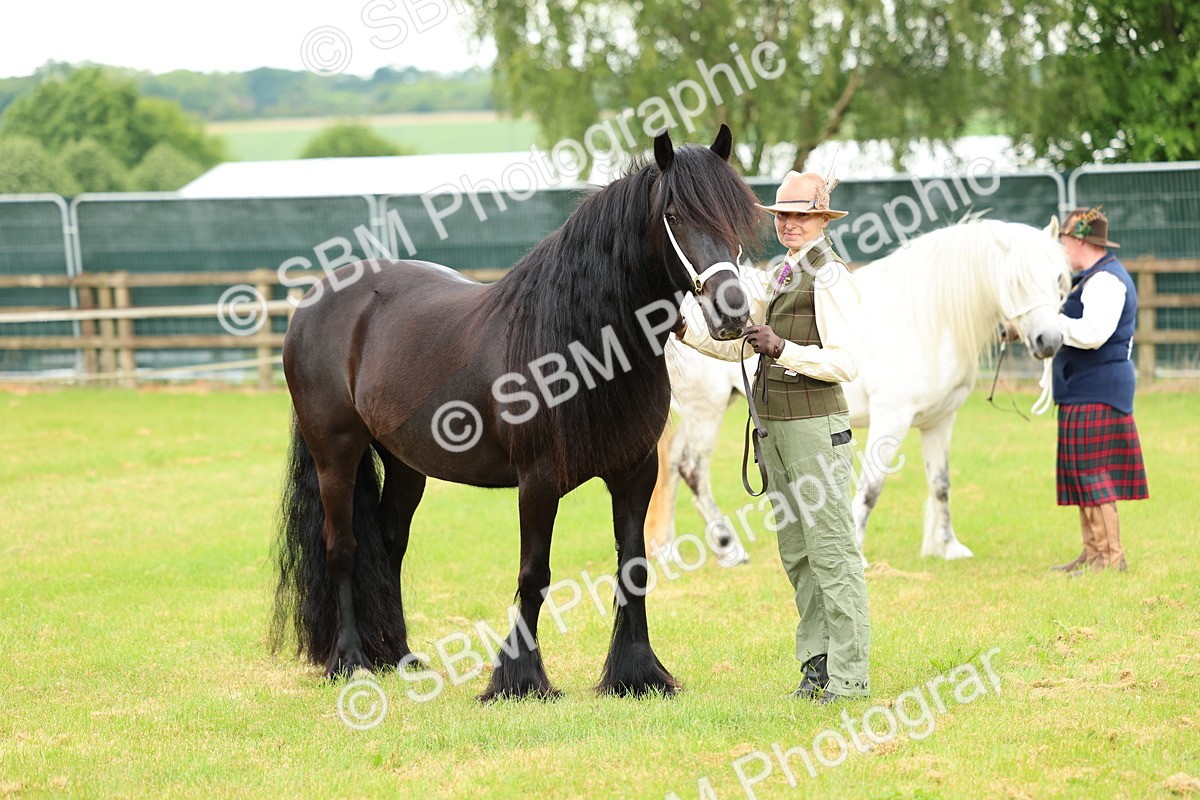 SBM_00554 - Class 58-67 - M&M Non Welsh Pony In hand