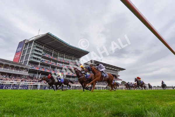 230825-Race 5-Northern Ticker-9923 - Race 5 4.10pm Sky Bet Constantine Handicap