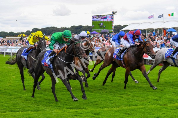 240823-Race 1-Relief Rally-0080 - Race 1 1.50pm Sky Bet Lowther Stakes