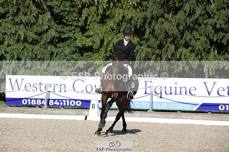 230526-170055-07885 - 174-LANCELOT_BMG-Alfie_Marshall-WEDTrotUp+DR