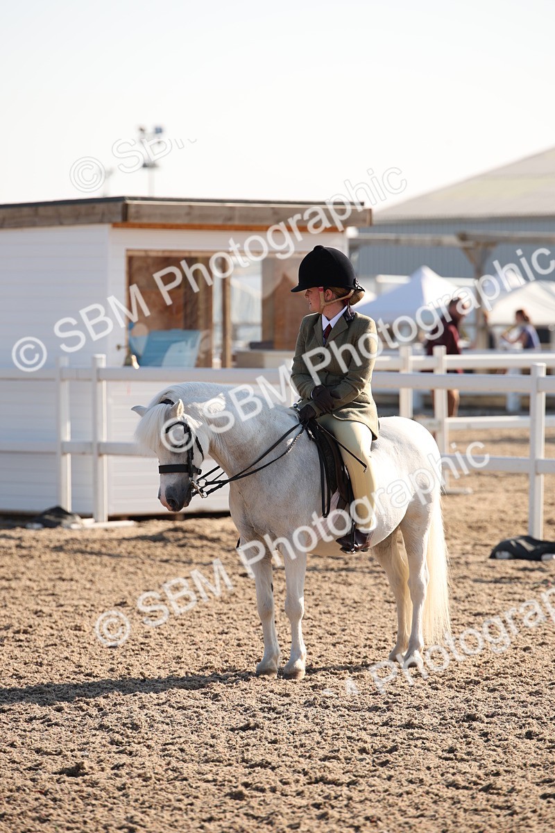 SBM_00682 - Class 14 Ridden M&M Wildcard