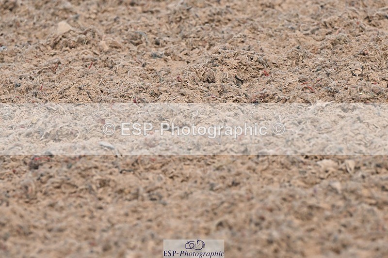 250409-105253-00209 - Snr Disc & 1.00m Open