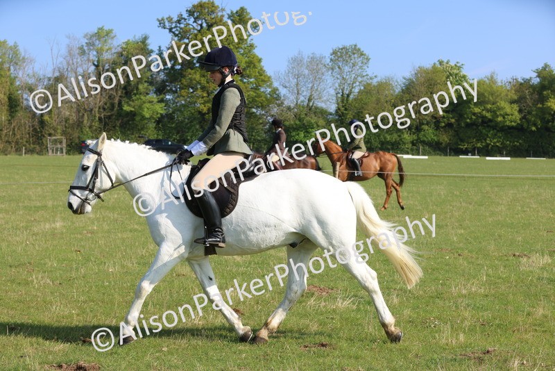 20250427-0526 - Class 17 - Novice Showing