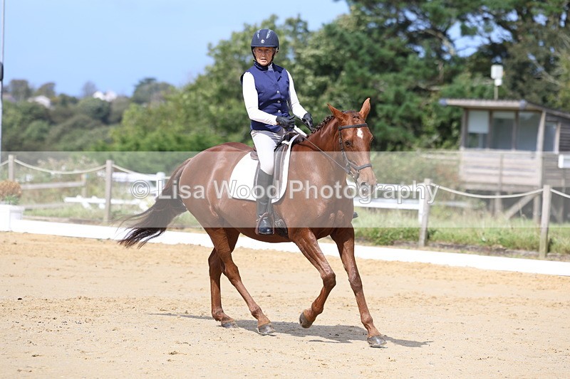 3E7A4017 - Class 9: Novice 6 Section B Championship