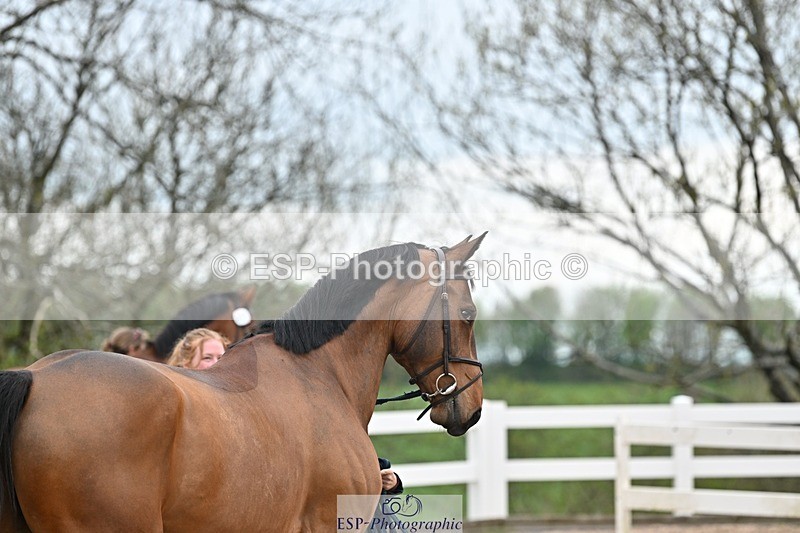 250423-161008-02004 - 4pm to 5pm