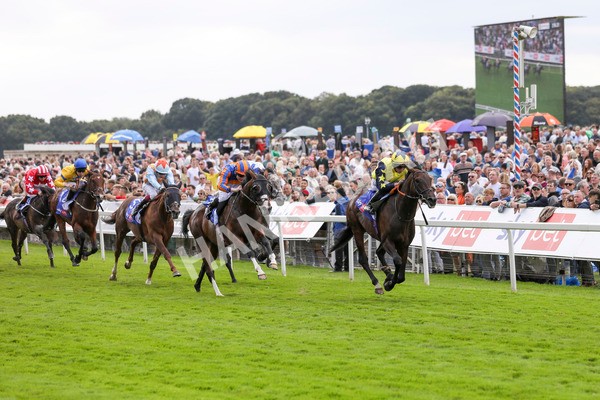 240824-Race 2-Tabletalk-8940 - Race 2 2.25pm Sky Bet Melrose Handicap