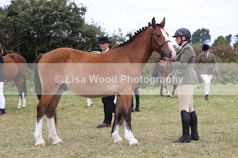 3E7A4198 - Class 15: Two Year Olds