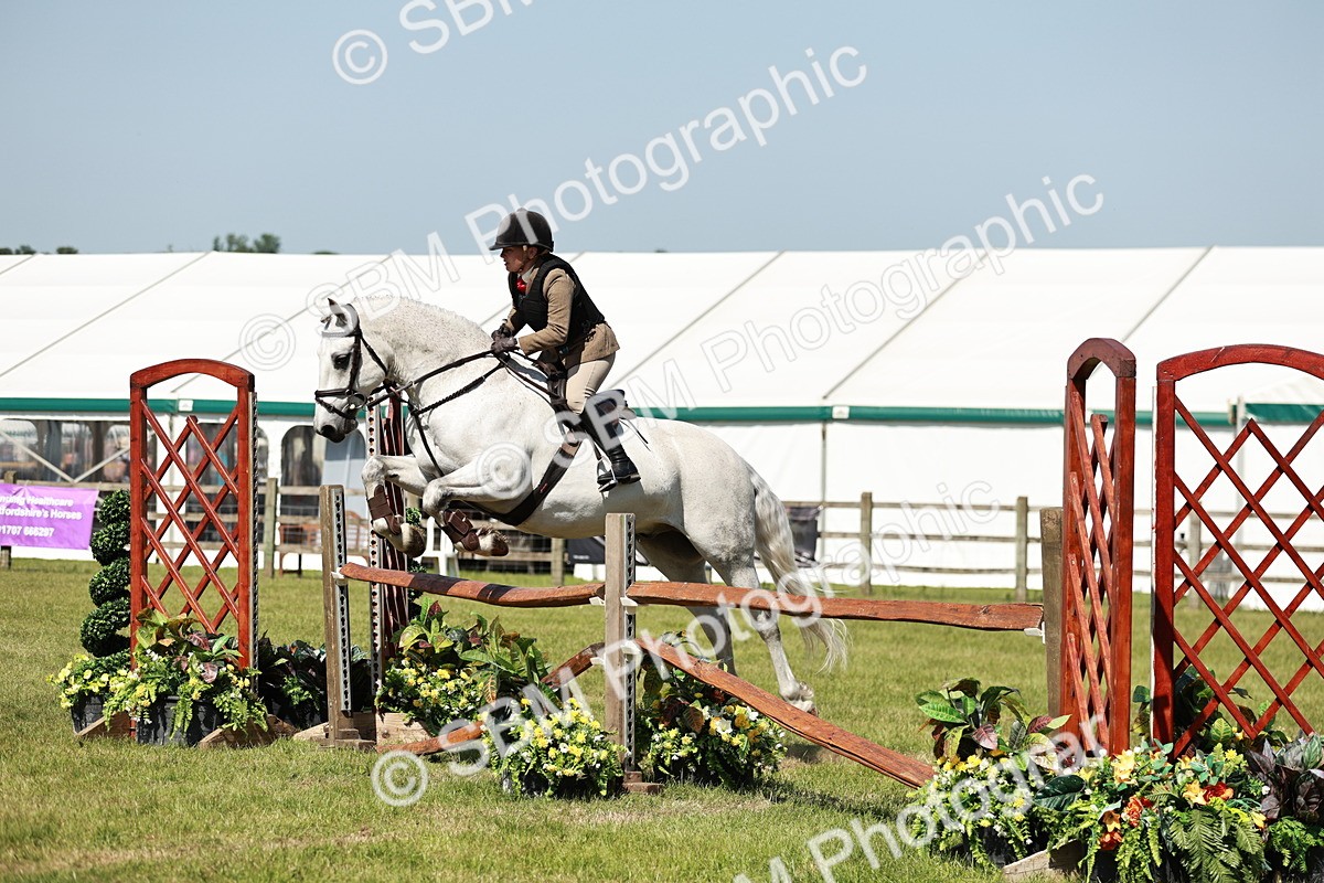 SBM_18300 - Class 112-113 - BSPS LIHS Working Sports Pony
