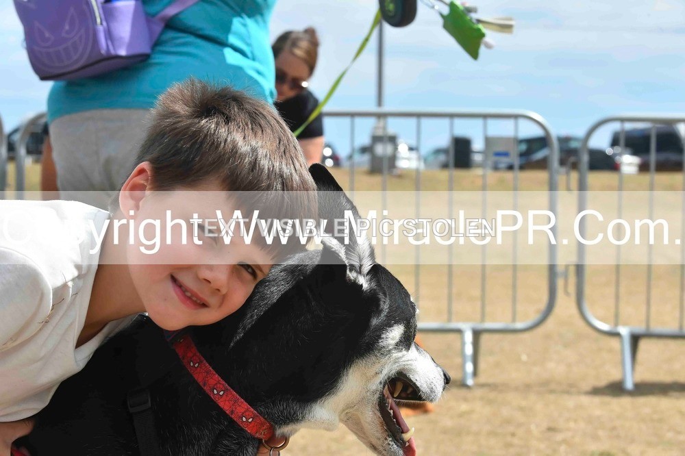 SH4_0114 - Dog show.