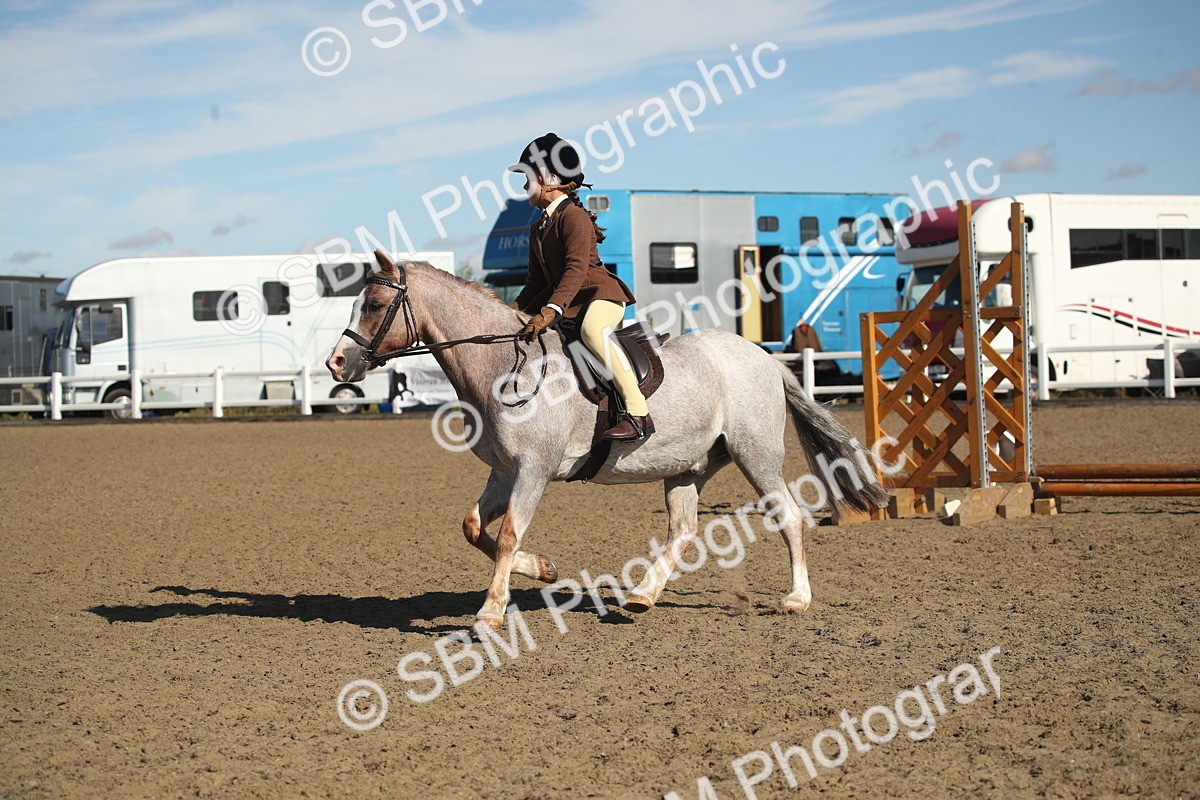 SBM_12704 - Class 504b - Junior Working Veteran - 40cm (20+)