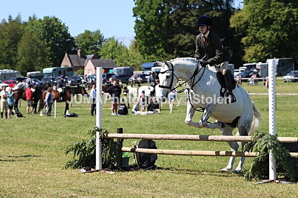 IMG_3963 - Working Hunter