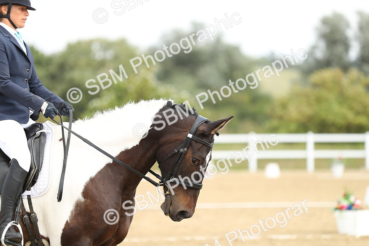 SBM_016387 - Class 13 - Novice 23 - 11.25-12.35