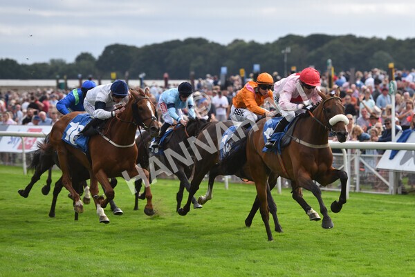 yr18082021r5-66 - Race 5 4.10pm Sky Bet Stakes