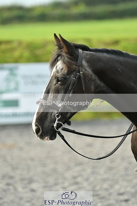 230817-085245-00027 - Theo's 1st Group - Arena