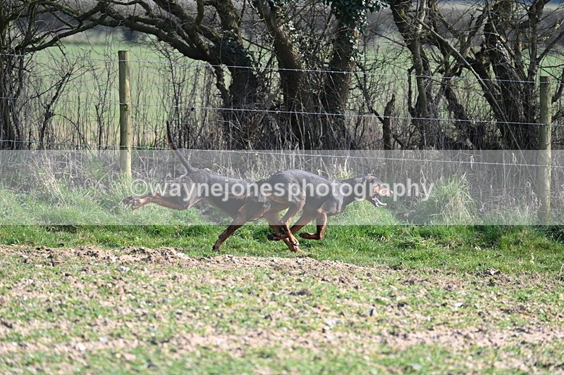 WJ7_5707 - Camera A