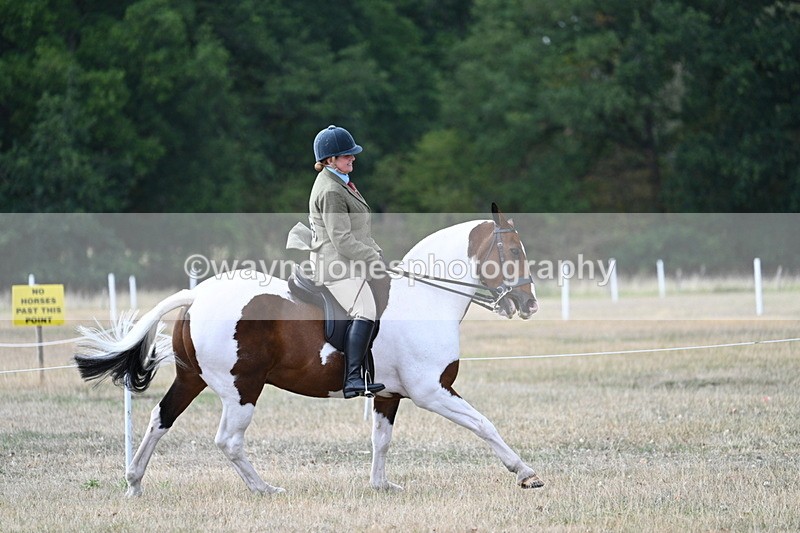 WJ7_7195 - Class 14 Ridden Coloured