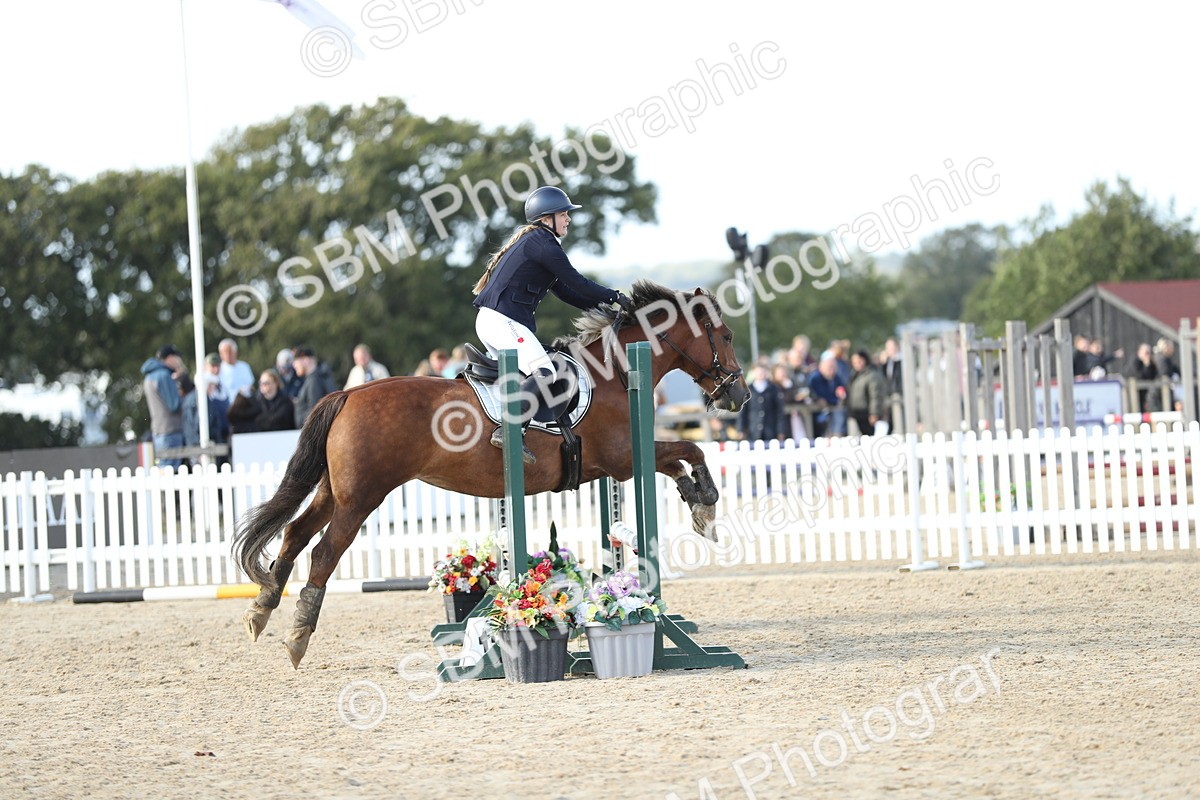 SBM_49535 - J22 - Junior Horse 65cm Championship