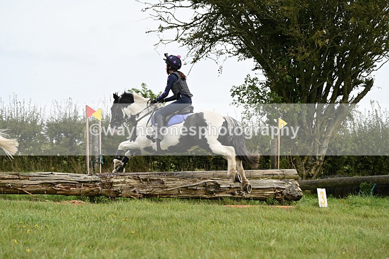 WJ6_9848 - Time 14:11 to 14:30