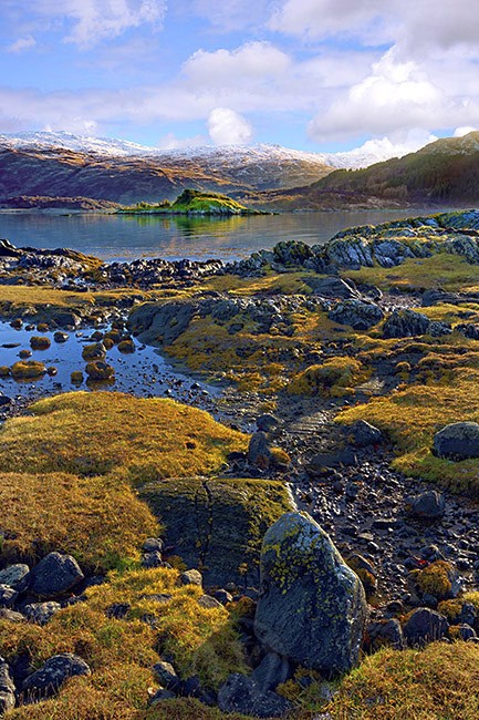 Loch Sunart Scottish Highlands - Land