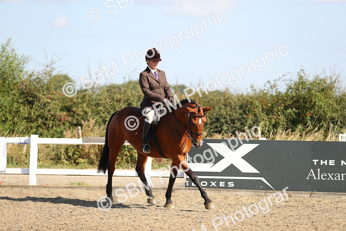 SBM_02277 - Class 43 Ridden Competition Horse/Pony