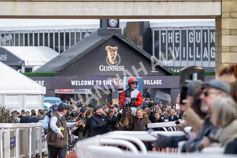 130326-Race 1-Apolon De Charnie-1352 - 13th March