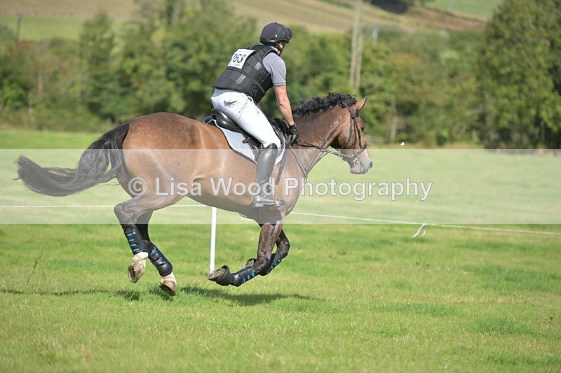 RAY_8868 - Class 2: Trekenning Open: Wall