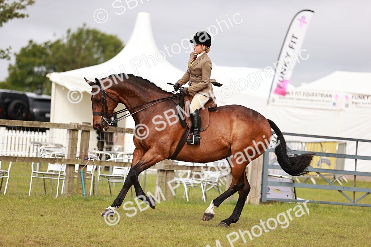 SBM_10871 - Class 81-84 - RIHS Ridden hunters Inc Ladies Hunter