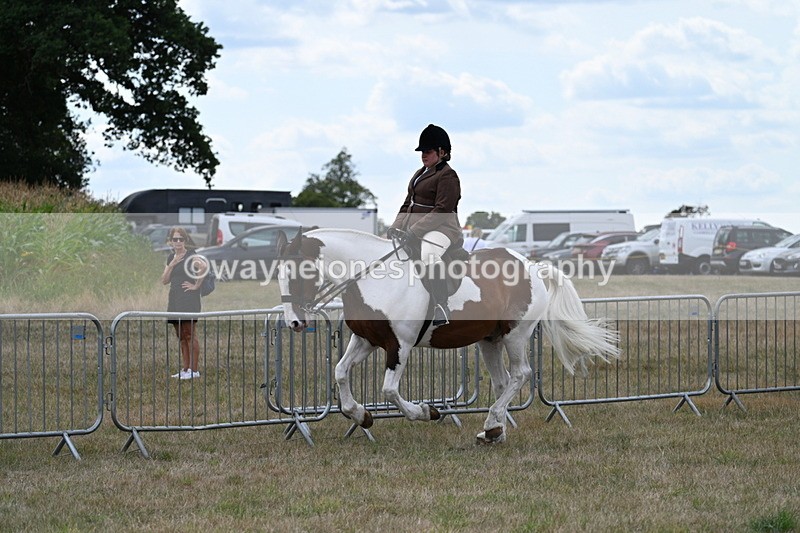 WJ7_5049 - Class 12 Ridden Cob