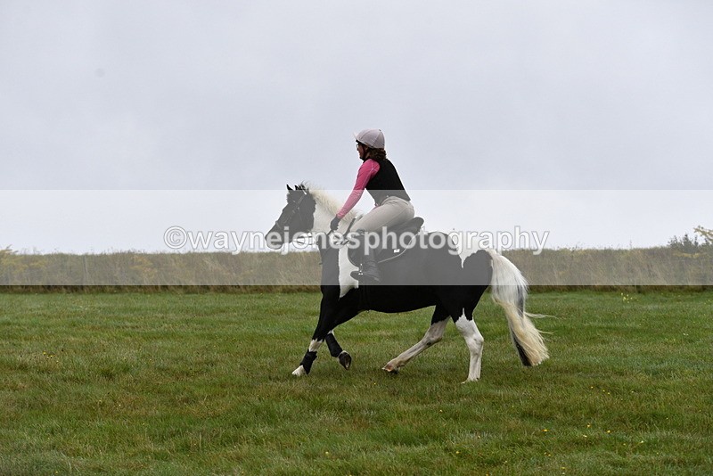 WJ5_5902 - Time 10:46 to 11:09