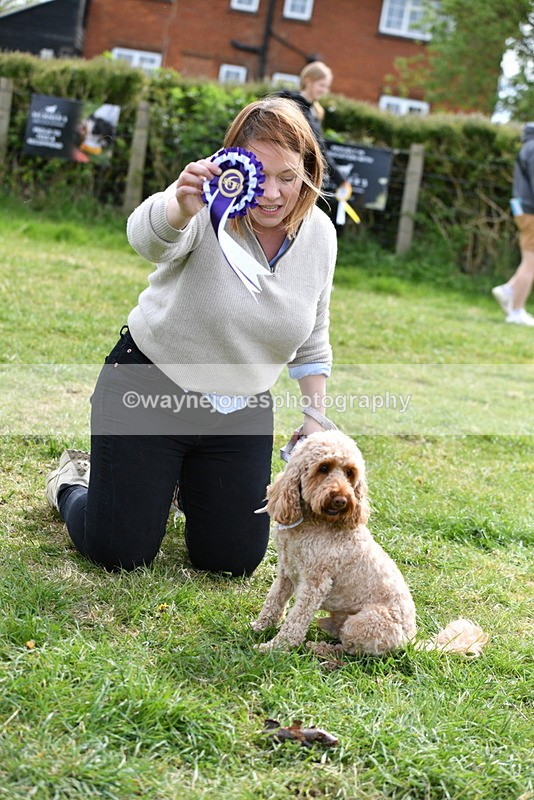 WJ5_9899 - Class 3 Most Handsome Dog