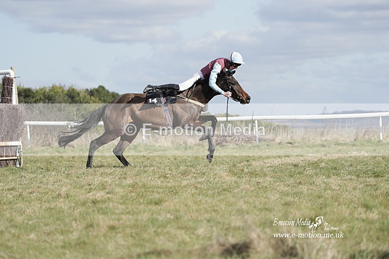 PtP 260223 477 - South & West Wilts Point-to-Point Larkhill 26/02/23