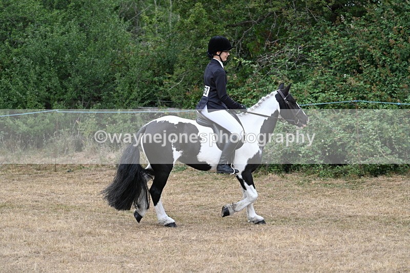 WJ7_7611 - Class 3 Family Mount