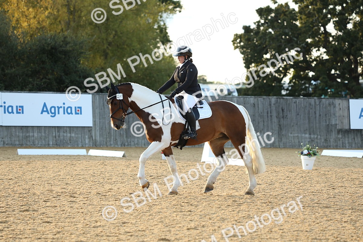 SBM_30583 - D20 - Grand Tour Championship - Elementary 44