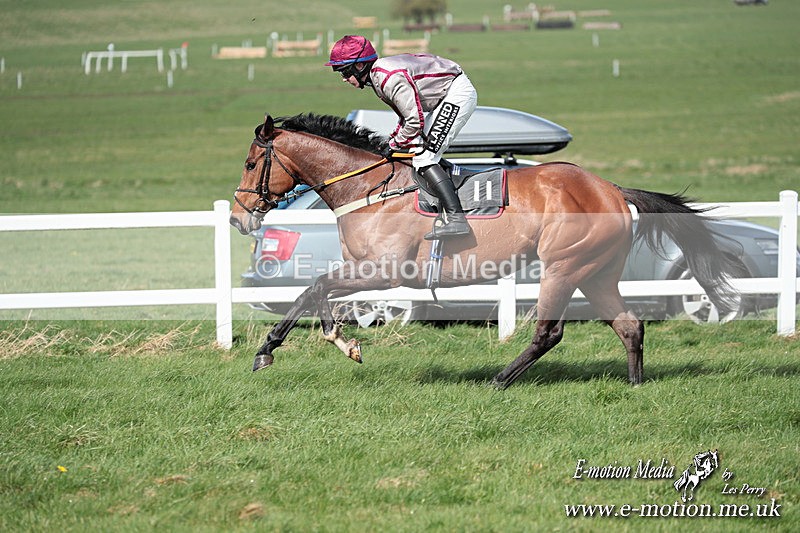 PtP 230324 533 - Tedworth Hunt PtP Larkhill Raccourse 23rd March 2024