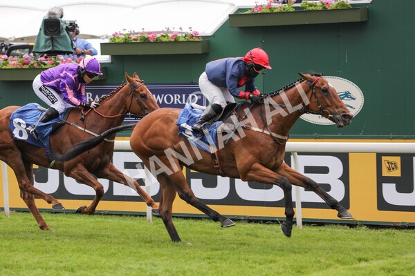 yr12062021r1-29 - Race 1 2.00pm Queen Mother's Cup