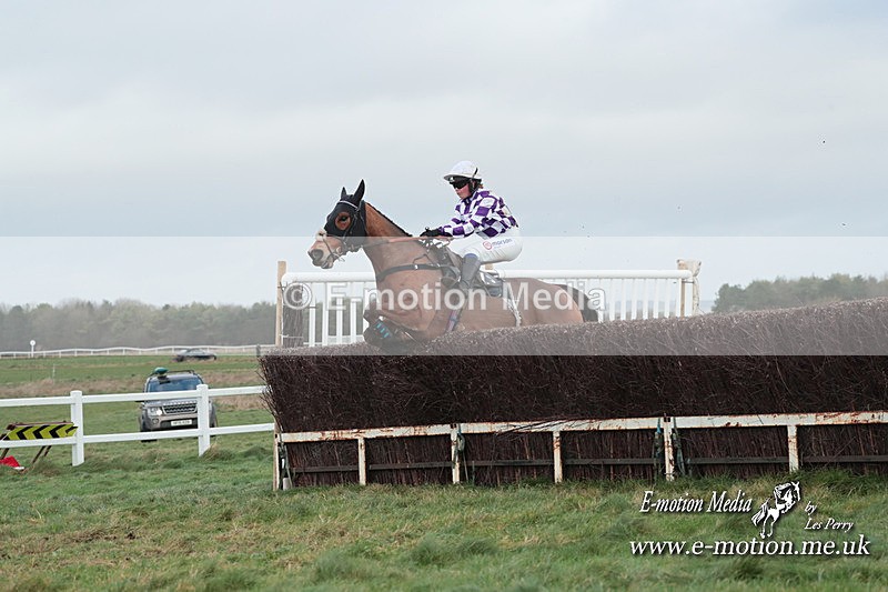 PtP 311223 287 - Larkhill Racing Club Point-to-Point 31/12/23