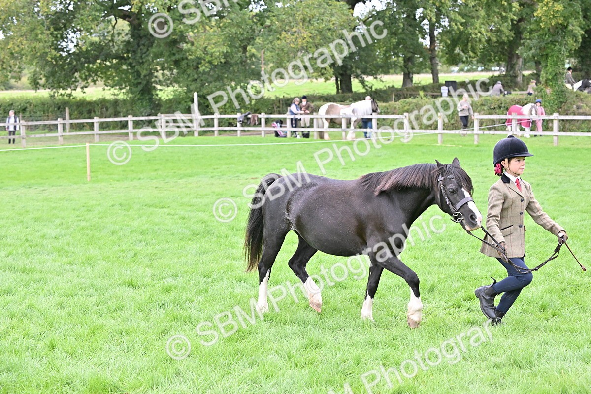 SBM_66801 - S41 - Junior Handler 8 Years & Under