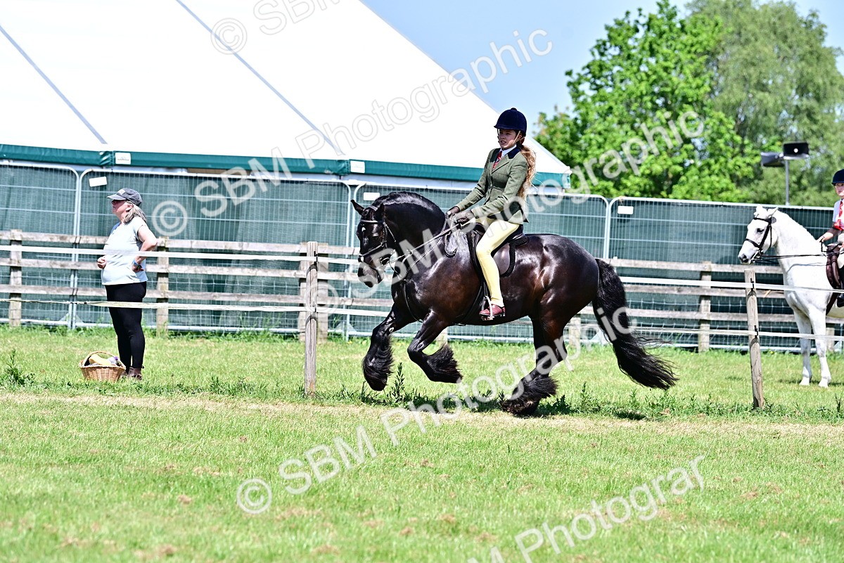 SBM_15322 - Class 95-97 - BSPS LHS Performance Ponies