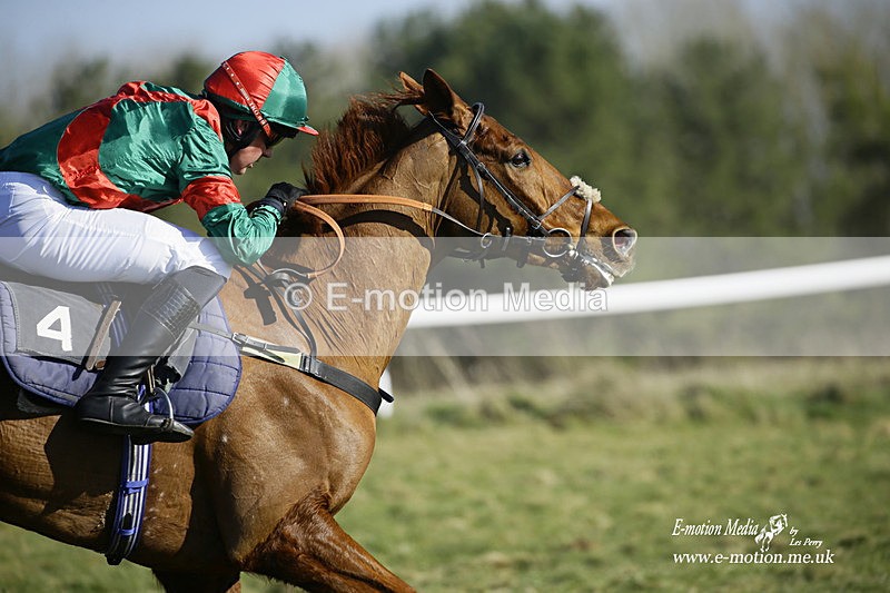 PtP 270222 126 - South & West Wilts Point-to-Point Larkhill 27/02/22