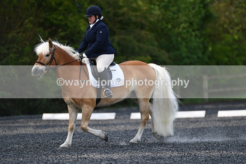 WJ5_8877 - Time 09:34 to 09:57