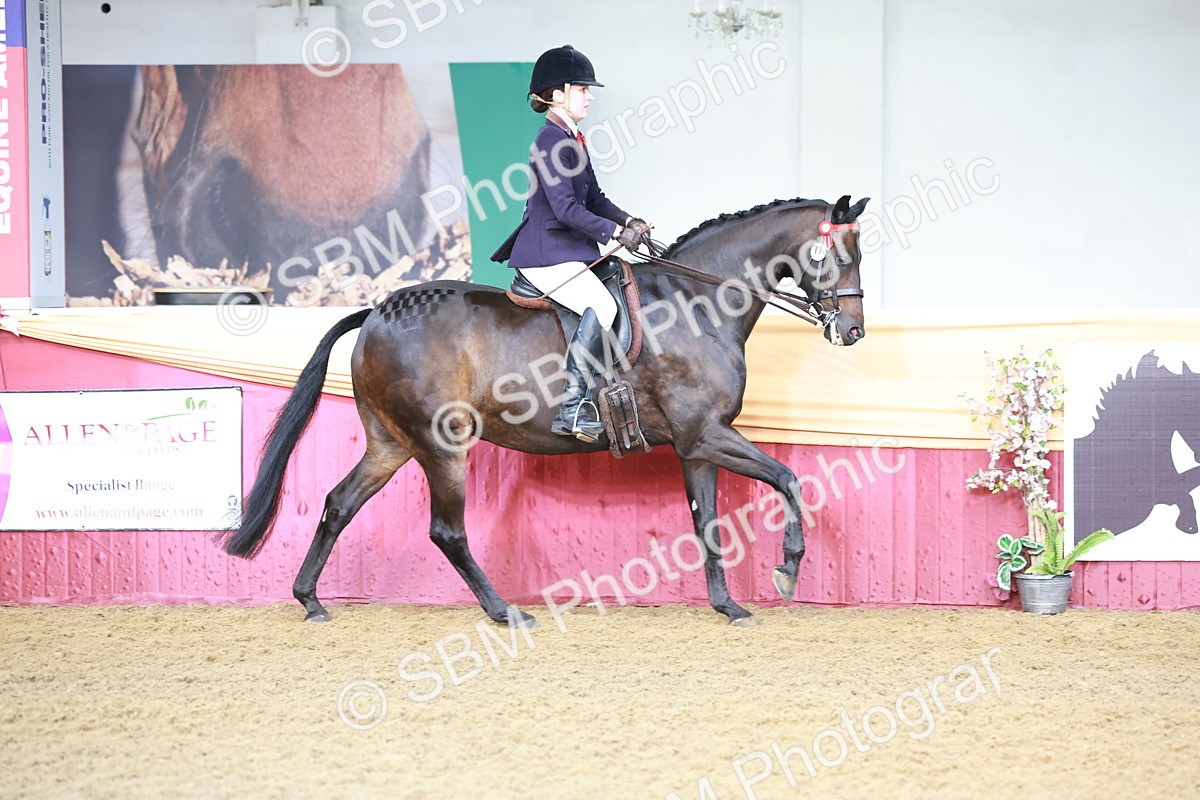 SBM_11829 - Class 102 - Equitation (Best Rider) Adult