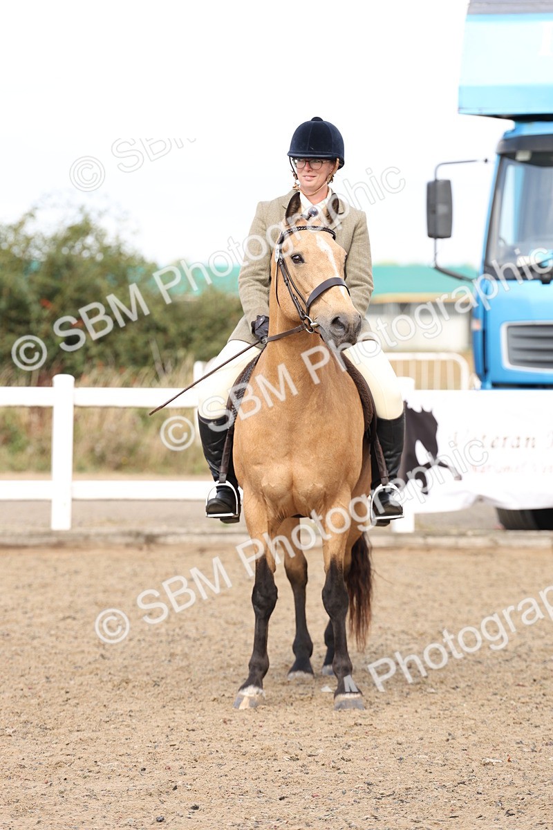 SBM_06804 - Class 58a -  Style & Performance - 70cm (15-19)