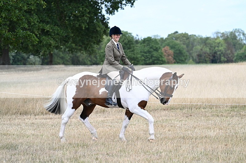 WJ7_4841 - Class 12 Ridden Cob