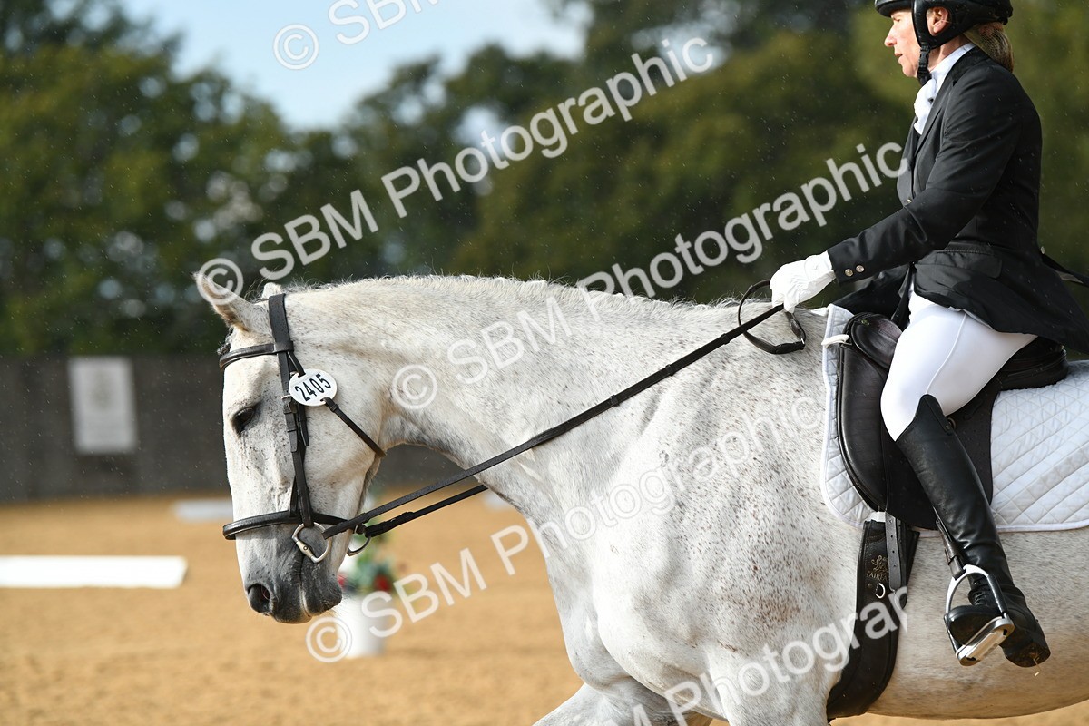 SBM_11171 - D28 Elementary Taster Elementary 42